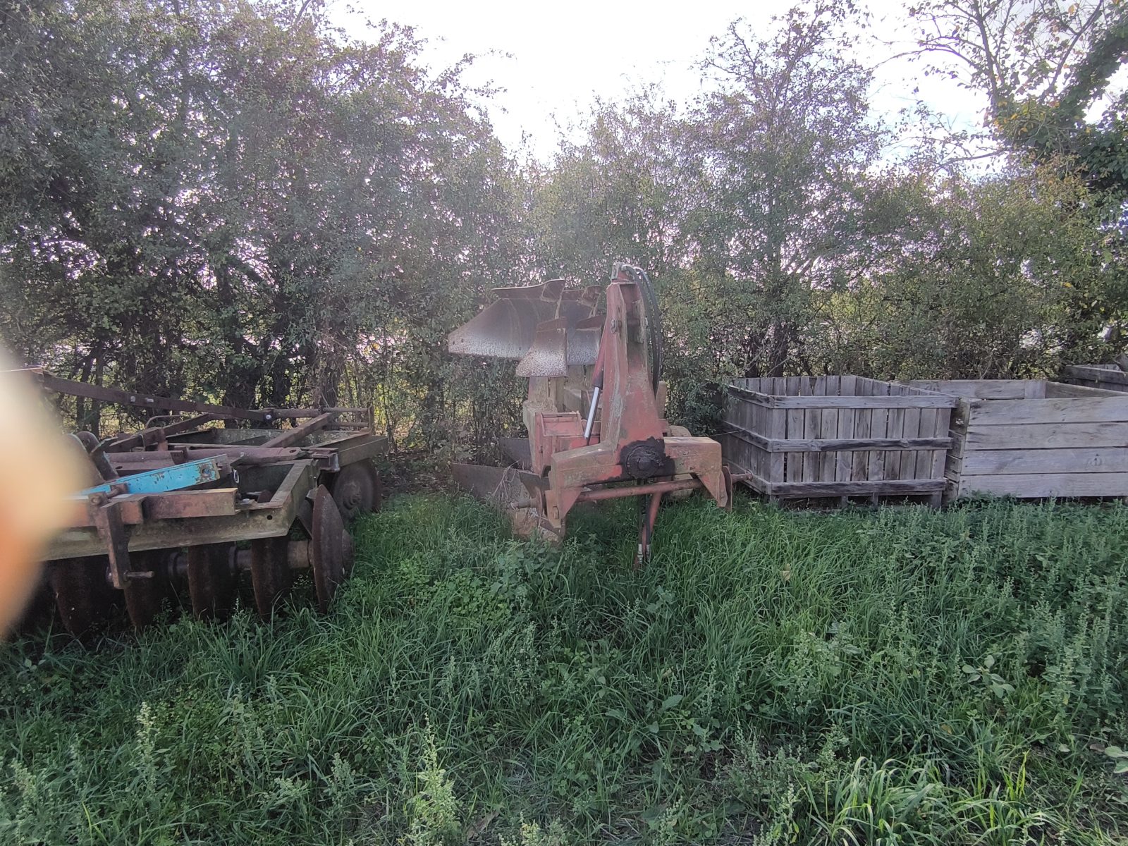 Le jardin d'Maurice — photo 20