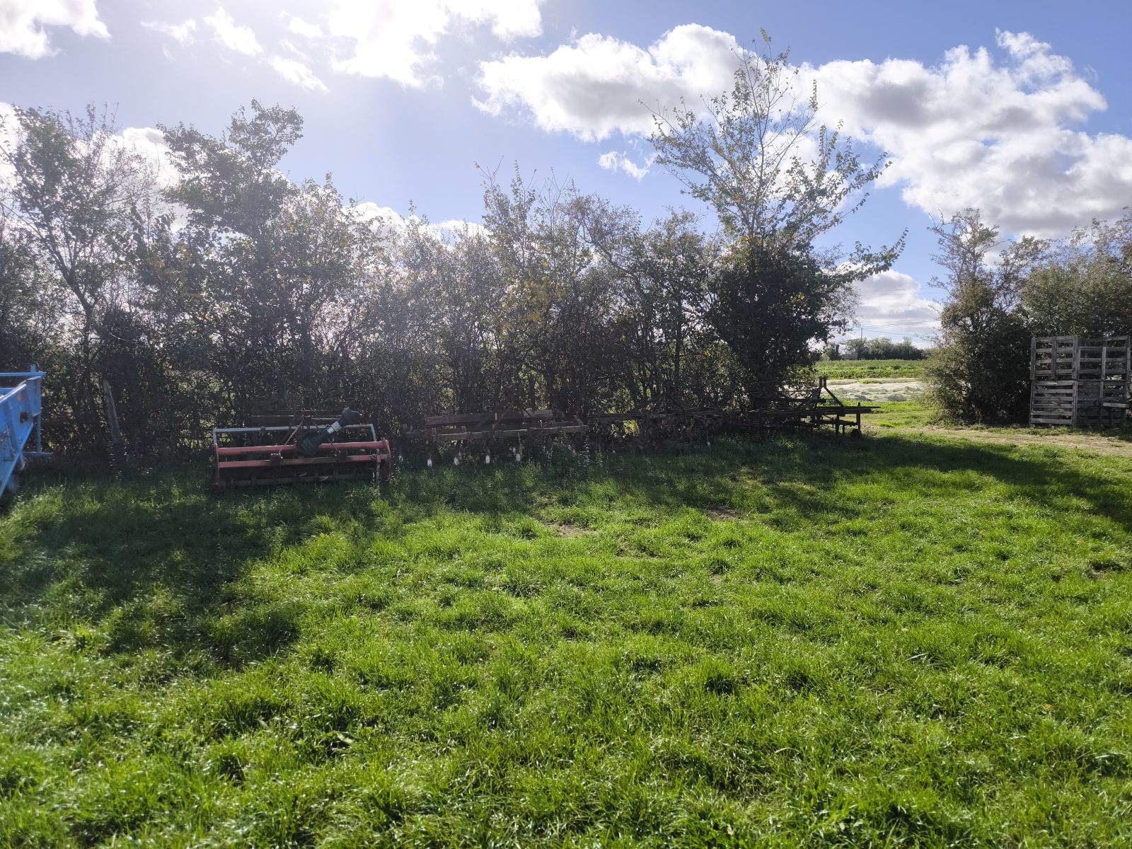 Le jardin d'Maurice — photo 12