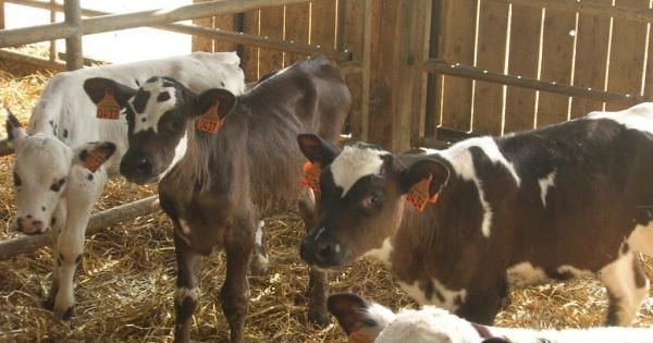 G.A.E.C. DES TROIS POIRIERS