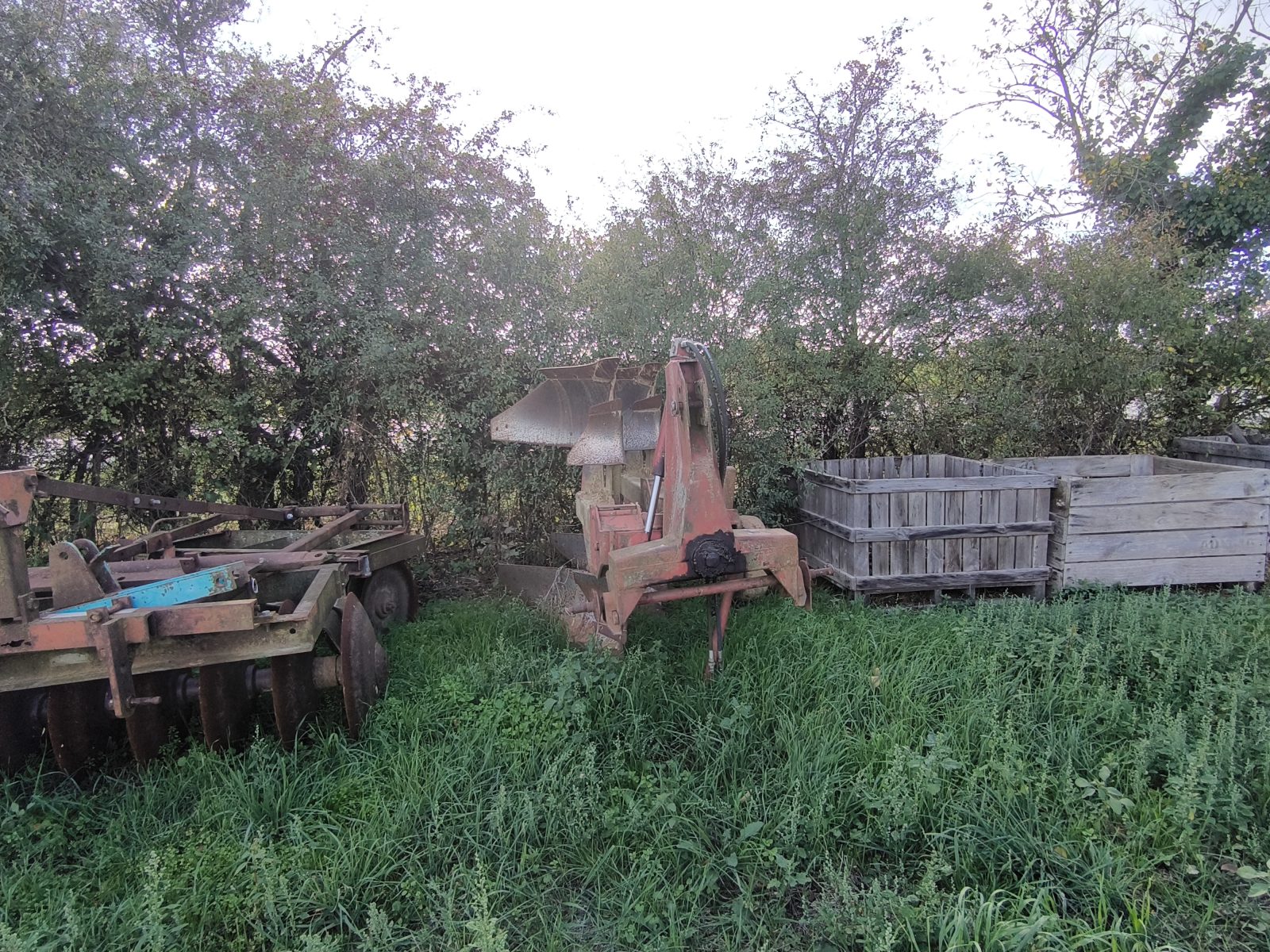 Le jardin d'Maurice — photo 21