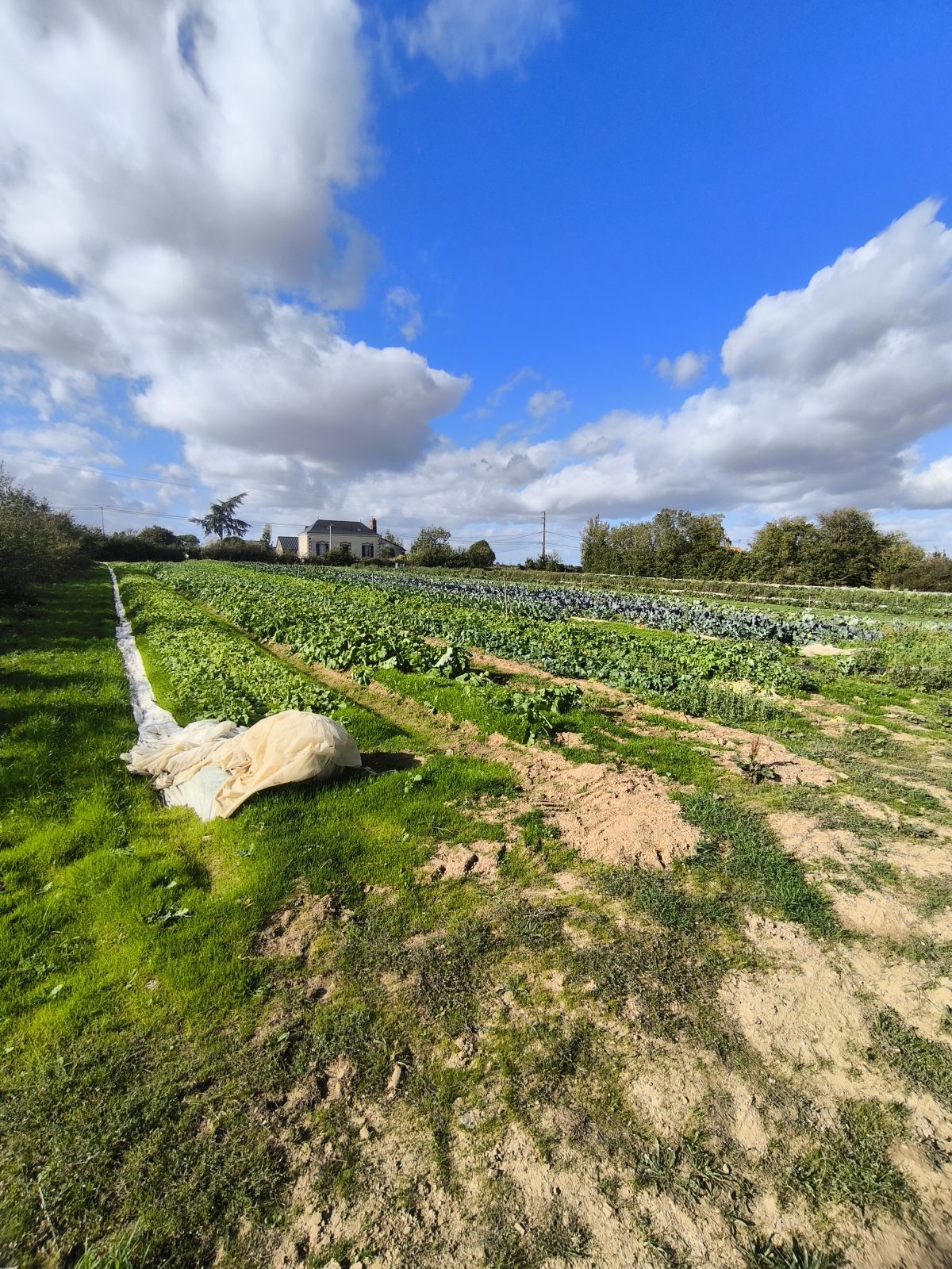 Le jardin d'Maurice — photo 28