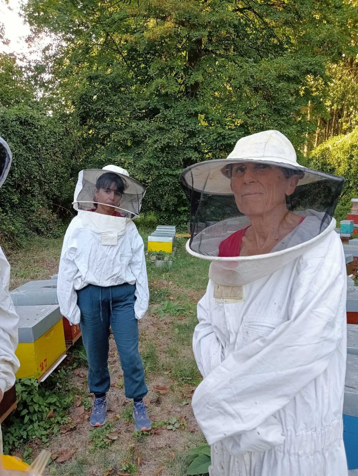 Apimiel — photo 10