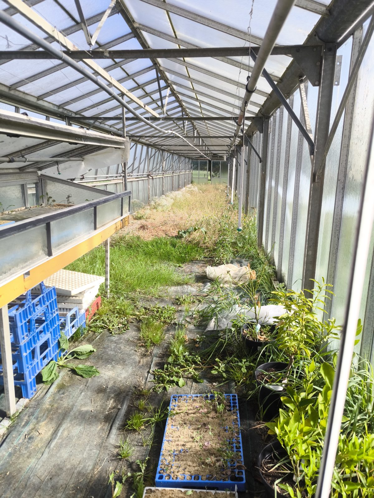 Le jardin d'Maurice — photo 9