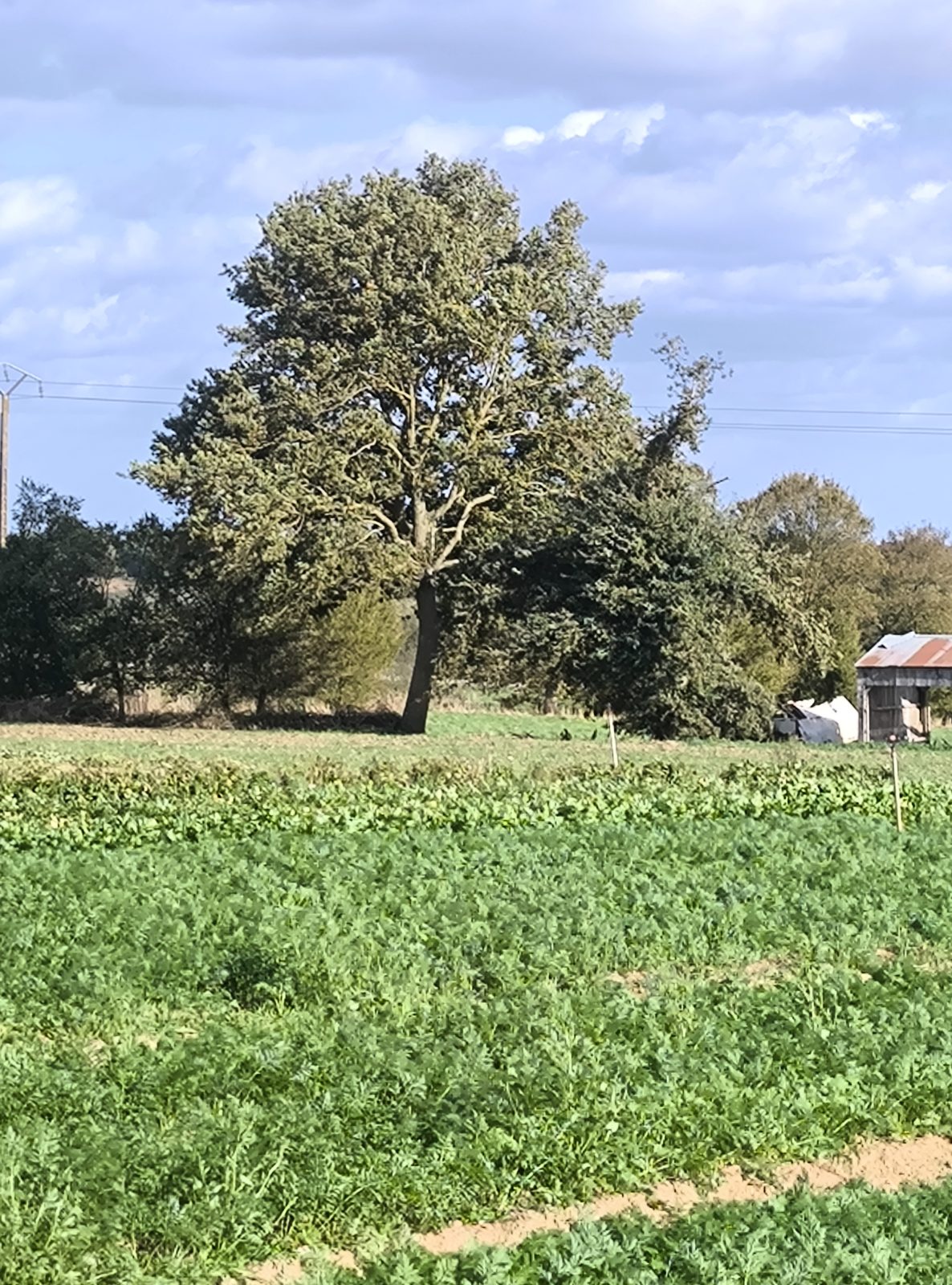 Le jardin d'Maurice — photo 35