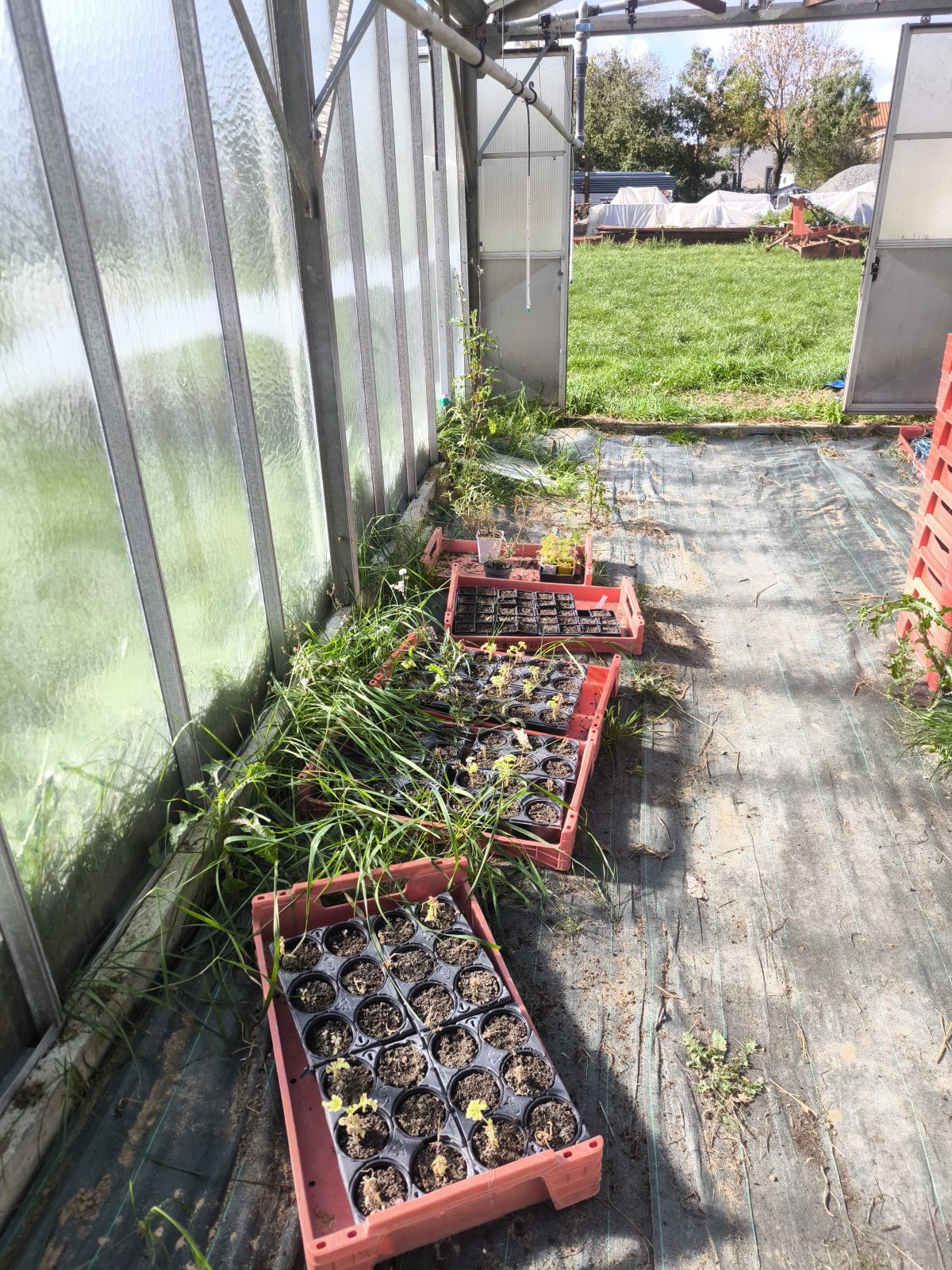 Le jardin d'Maurice — photo 8