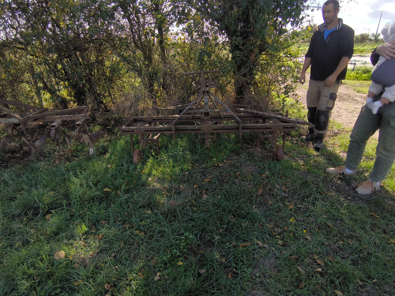 Le jardin d'Maurice — photo 16