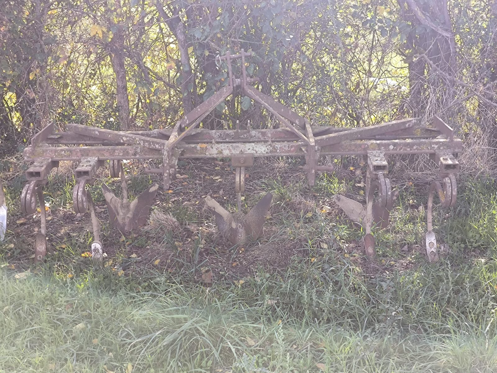 Le jardin d'Maurice — photo 15